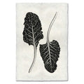 Black and white Swiss Chard botanical print on textured, handmade paper with a worn, antique look.