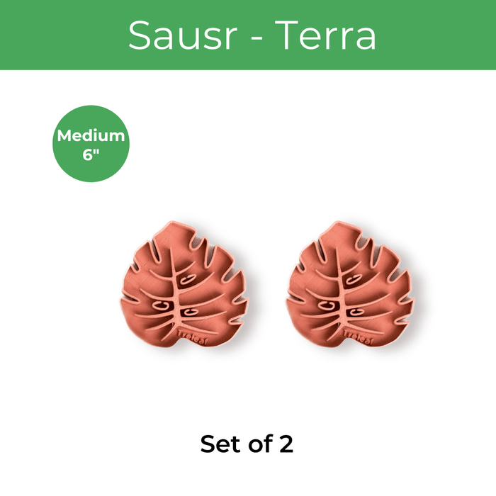 Medium (6") - Set of 2 / Terra