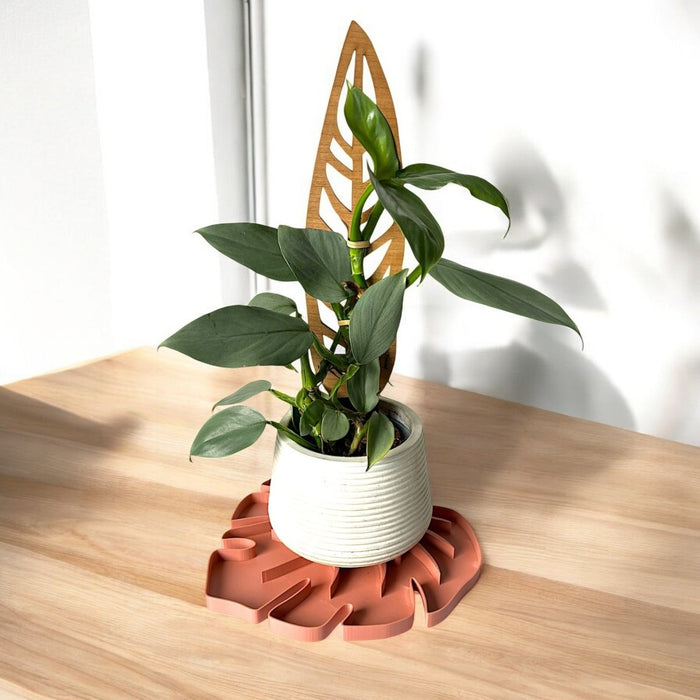Tera Sausr - Leaf - shaped Pot Saucer - Drip tray for houseplants - Humidity tray - Ed's Plant Shop