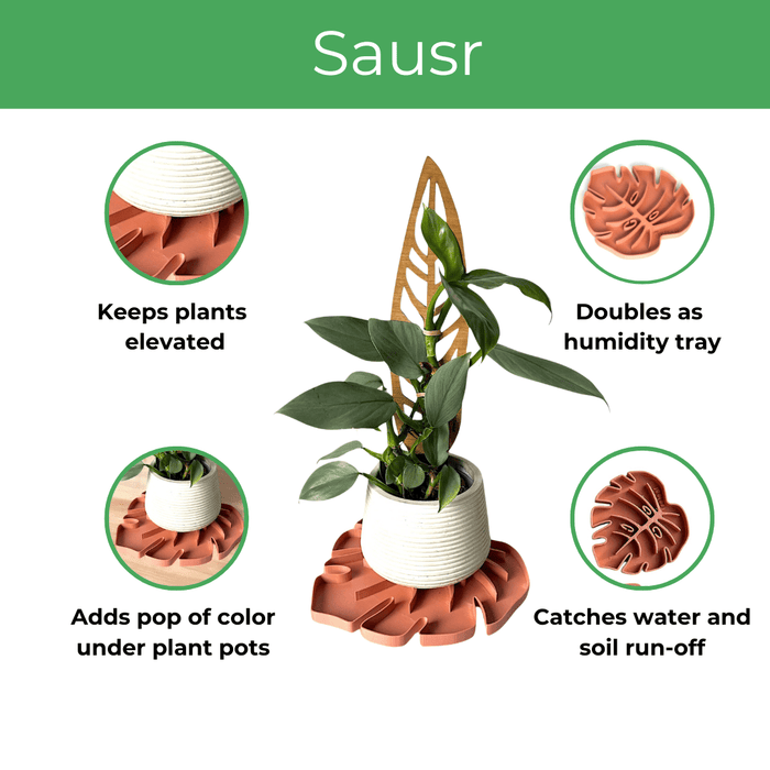 Tera Sausr - Leaf - shaped Pot Saucer - Drip tray for houseplants - Humidity tray - Ed's Plant Shop
