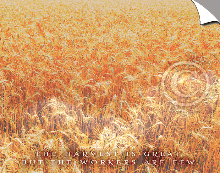 The Harvest - triptych - Peel & Stick