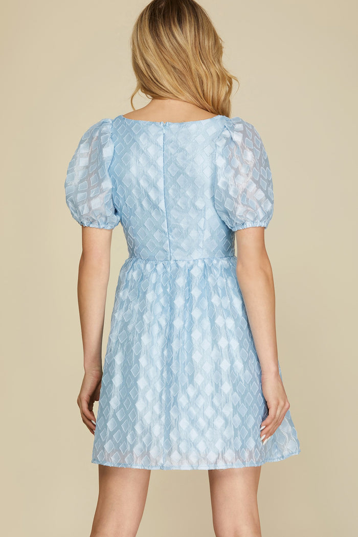 Through the Looking Glass Puff Sleeve Mini Dress
