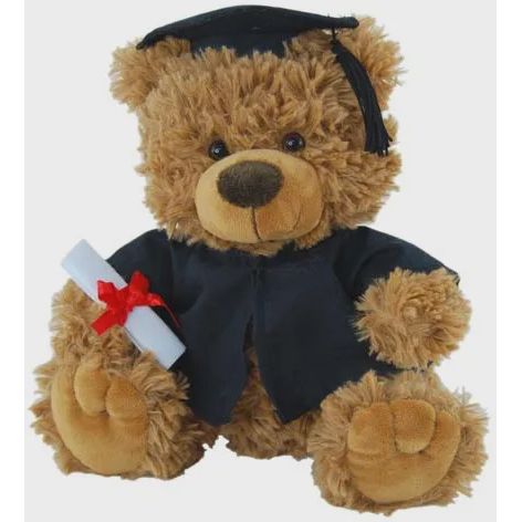 Tilly Graduation Bear 24cm