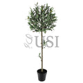 Topiary Olive Tree Potted w Fruits, 48in, Green