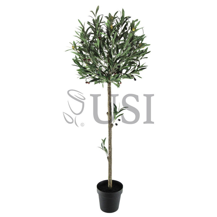 Topiary Olive Tree Potted w Fruits, 48in, Green