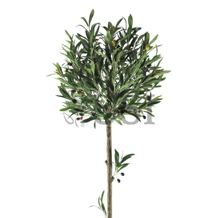 Topiary Olive Tree Potted w Fruits, 48in, Green
