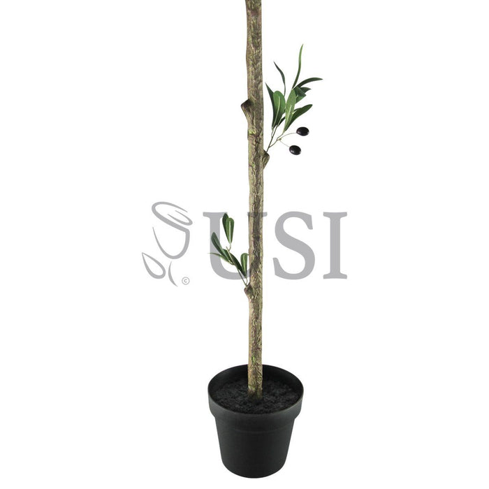 Topiary Olive Tree Potted w Fruits, 48in, Green