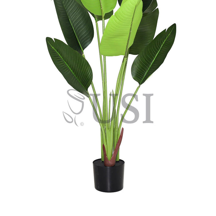 Travelers Palm Tree Real Touch x8 Potted, 4ft, Green