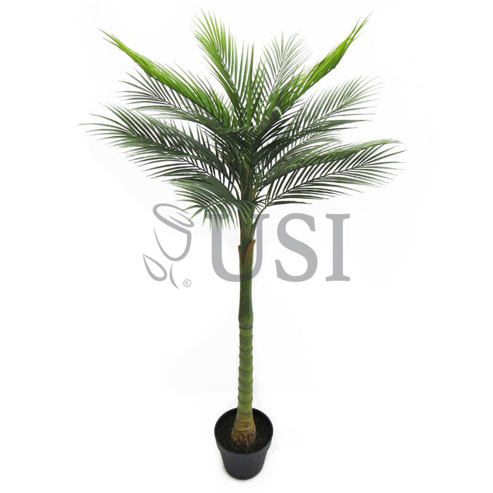 Tropical Areca Palm Tree Potted, 50in, Green