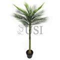 Tropical Areca Palm Tree Potted, 50in, Green