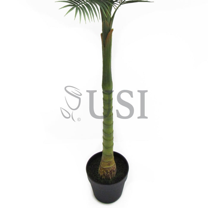 Tropical Areca Palm Tree Potted, 50in, Green