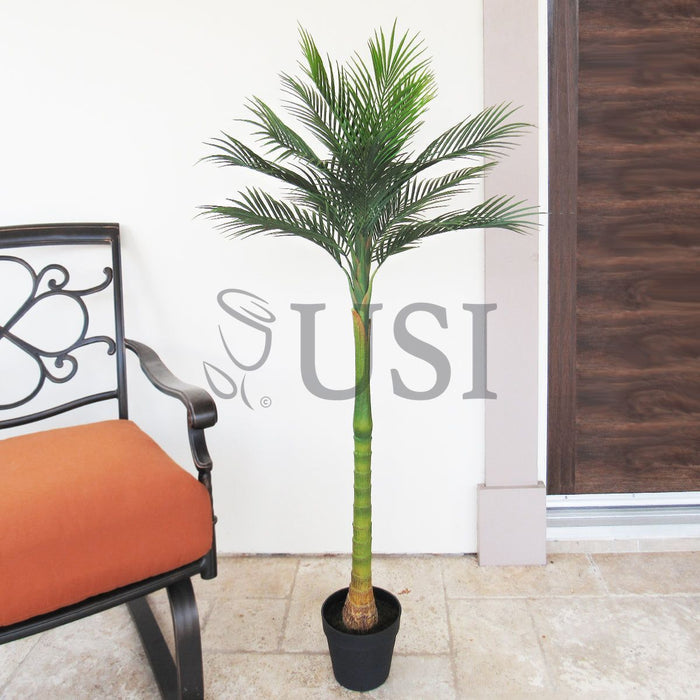 Tropical Areca Palm Tree Potted, 50in, Green