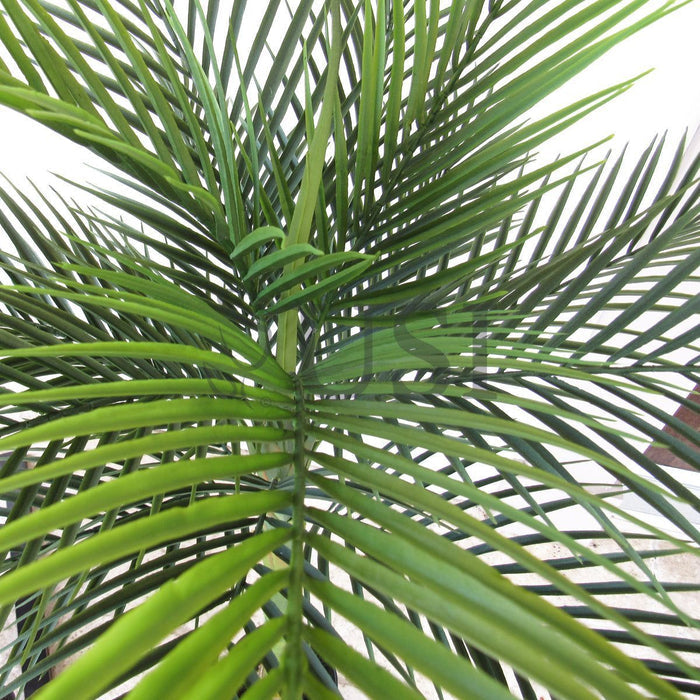 Tropical Areca Palm Tree Potted, 50in, Green