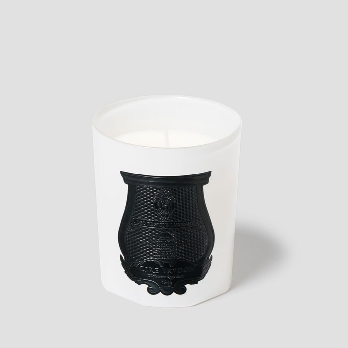 Trudon Rose Poivree Classic Scented Candle in a white glass vessel with a black textured emblem.