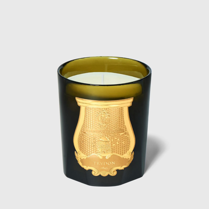 Trudon Spiritus Sancti scented candle in a dark green glass vessel with a gold embossed label.