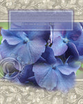 Trust in the Lord - closeout poster