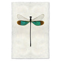 Turquoise Damsel Dragonfly print on handmade paper, with teal and brown wings.