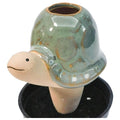 turtle water seeper to water plants