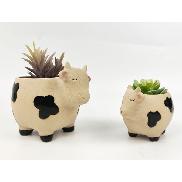 cow planters for succulents