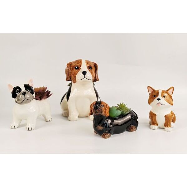 indoor dog plant pots