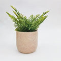 daisy planter