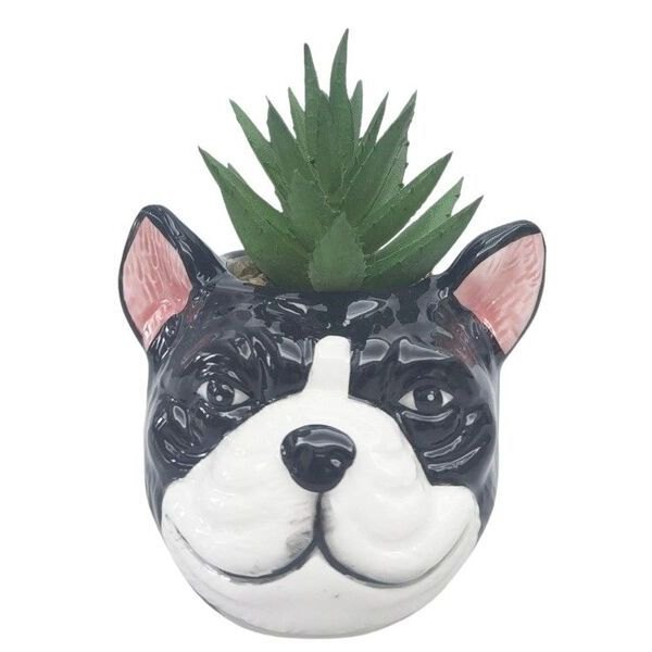 Dog-shaped planter with a succulent