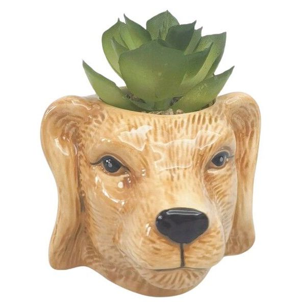 Dog-shaped planter with a succulent