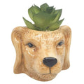 Dog-shaped planter with a succulent