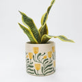 pilbra yellow flowers on trendy planter pot for indoors