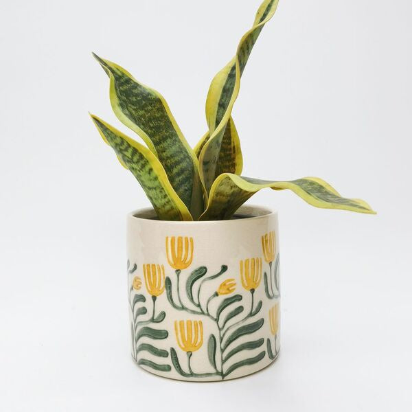 pilbra yellow flowers on trendy planter pot for indoors