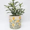 Urban Products Pilbra Planter Pot Green & Yellow 18cm