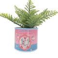 sardine can planter pot