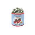 Urban Products Tomato Italiano Can Planter Pot Blue 10cm