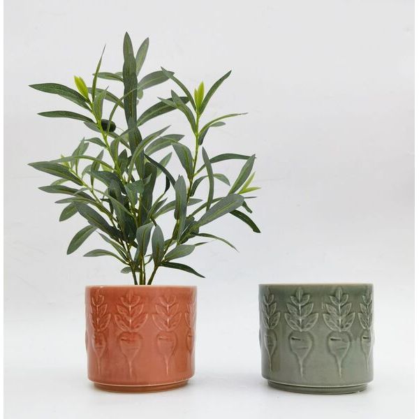 turnip plant pots