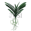 Vanda Orchid Leaf Stem Realistic, 17x18in, Green