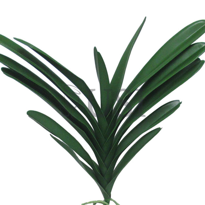 Vanda Orchid Leaf Stem Realistic, 17x18in, Green