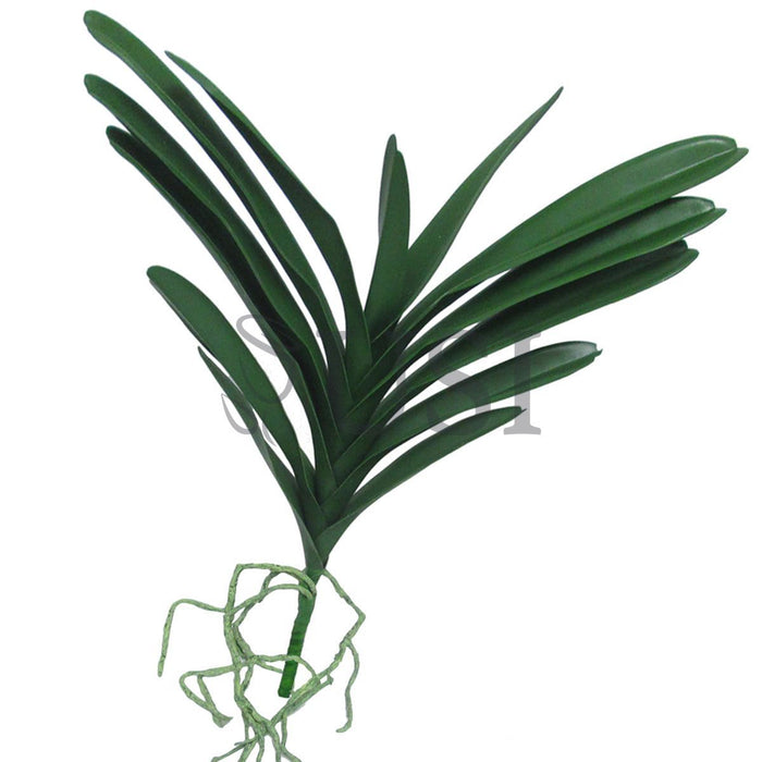 Vanda Orchid Leaf Stem Realistic, 17x18in, Green