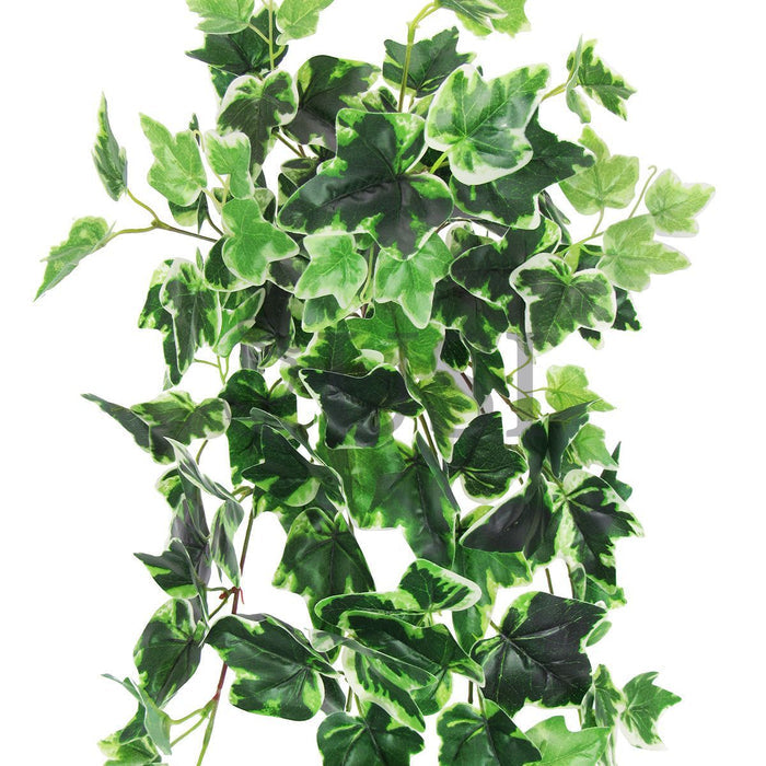 Variegated English Ivy Hanging Greenery Bush, 32in, Variegated