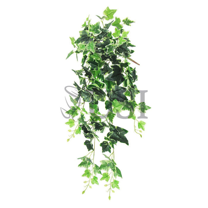Variegated English Ivy Hanging Greenery Bush, 32in, Variegated