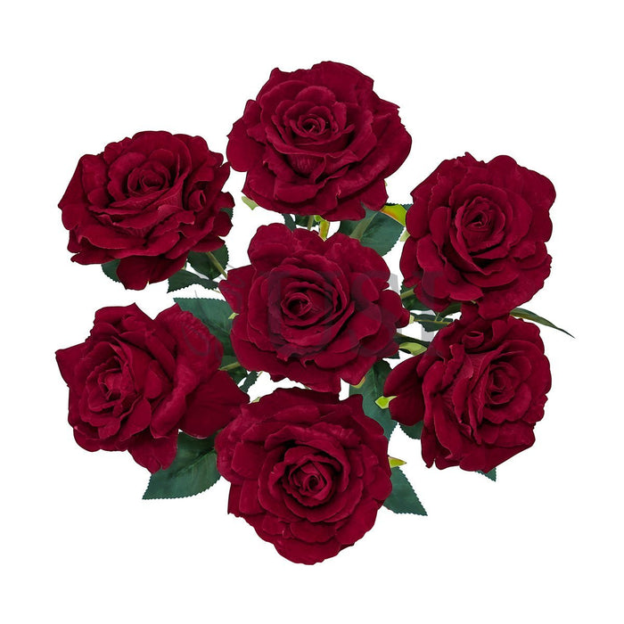 Velvet Grand Rose Flower Bush x7, 20in, Red