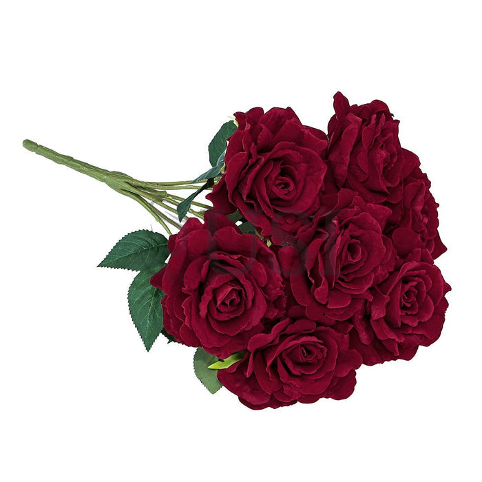 Velvet Grand Rose Flower Bush x7, 20in, Red