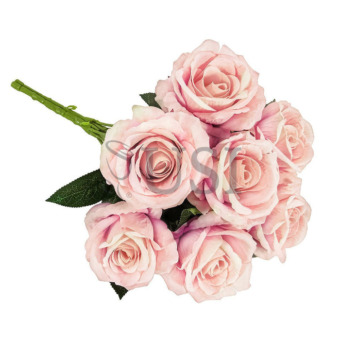 Velvet Rose Bush x7, 16in, Blush