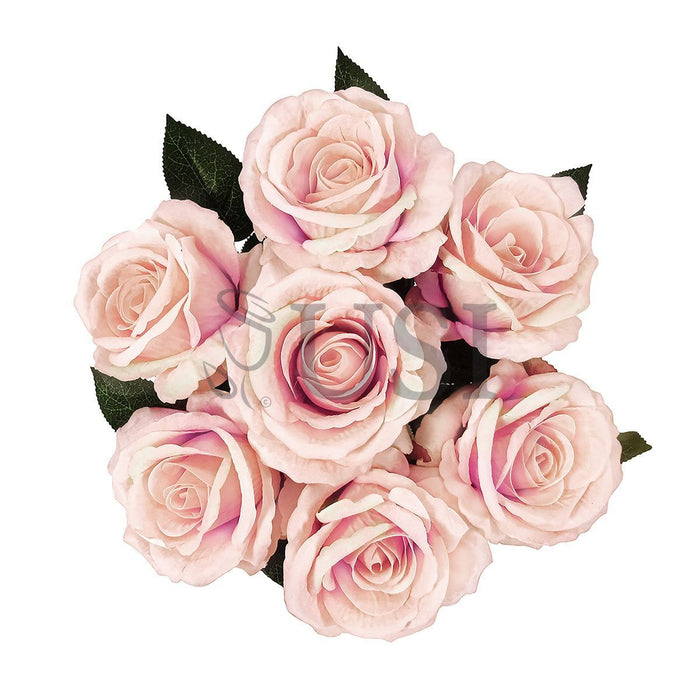 Velvet Rose Bush x7, 16in, Blush