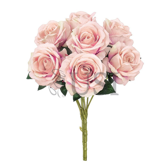 Velvet Rose Bush x7, 16in, Blush