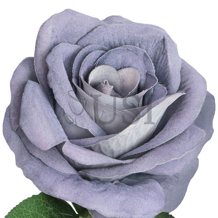 Velvet Rose Bush x7, 16in, Grey Blue