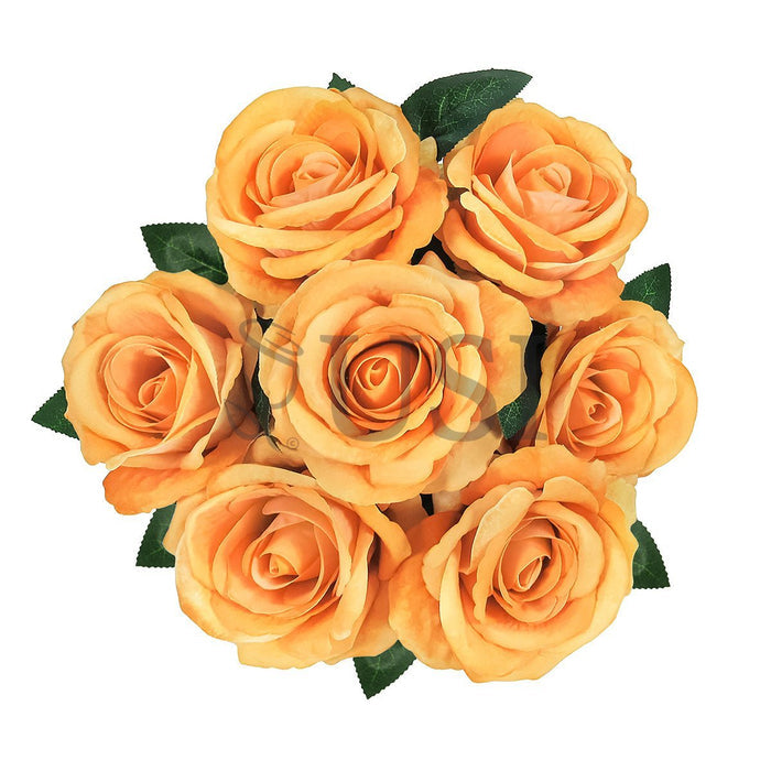 Velvet Rose Bush x7, 16in, Orange