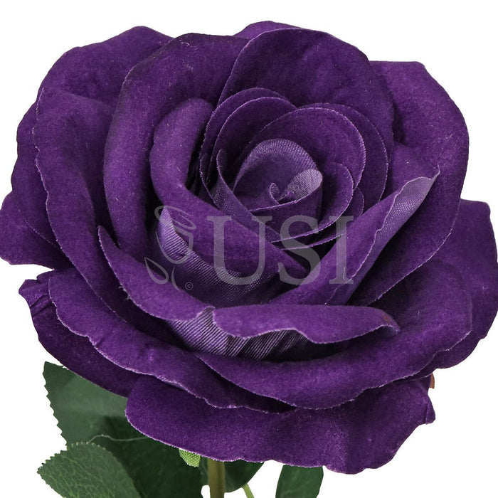Velvet Rose Bush x7, 16in, Royal Purple