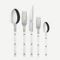 White Bistro 5-piece flatware set with stainless steel utensils and acrylic handles.