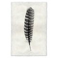 Wild Turkey Feather Study #16 print on handmade Nepalese paper, black and white striped feather.