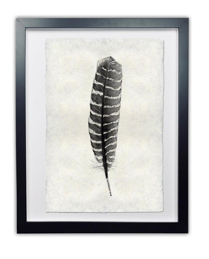 Framed black and white Wild Turkey feather print on textured handmade Nepalese paper.